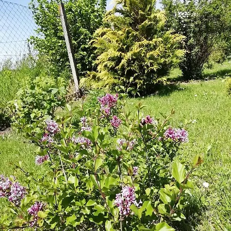 Guest house Paratlan Vendeghaz Pokaszepetk