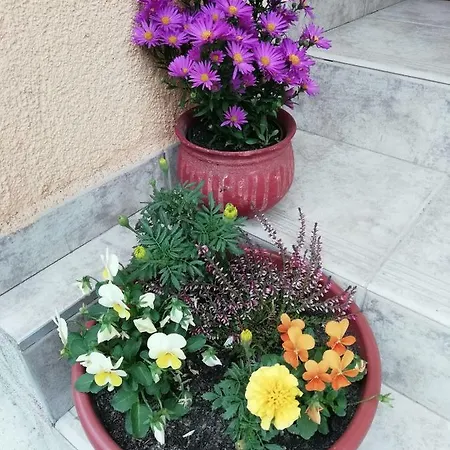 Paratlan Vendeghaz Гостевой дом *